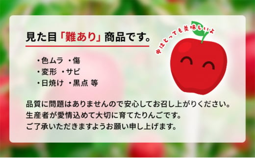 先行予約【12月発送】盛岡市産 田村ふぁーむ 家庭用 完熟 サンふじ りんご 約5kg（16～20玉）