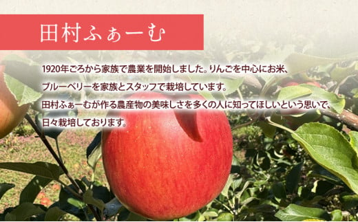 先行予約【12月発送】盛岡市産 田村ふぁーむ 家庭用 完熟 サンふじ りんご 約5kg（16～20玉）