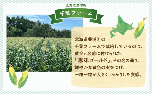 北海道 豊浦 千葉ファーム 朝もぎ とうもろこし 恵味ゴールド 11本 L～LLサイズ 【ふるさと納税 人気 おすすめ ランキング 野菜 その他野菜 とうもろこし トウモロコシ 国産 朝もぎ 大容量 サイズ おいしい 美味しい あまい 新鮮 北海道 豊浦町 送料無料】 TYUY001