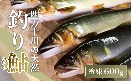 四万十川上流の天然鮎 釣り鮎 600g ( 冷凍 4～12尾 ) 鮎 あゆ アユ 川魚 高知県 四万十 天然 冷凍