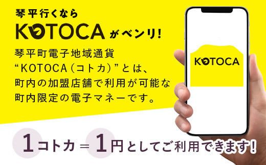 琴平町電子地域通貨KOTOCA 3000円 コトカ 電子マネー 観光 こんぴらさん 金毘羅山 温泉 香川県 ふるさと納税 F5J-470