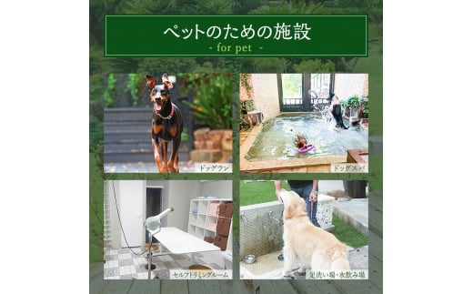 旅行 伊豆 宿泊 ホテル 四季の蔵 館内 利用券 60,000円 ペットと泊まる 宿 ペット 犬 温泉 プール 旅行券 宿泊券 チケット 観光 宿泊クーポン 旅館 静岡 静岡県 河津 [№5227-0478]