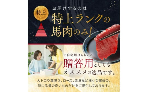 希少な 純 国産 赤身 馬刺し 約350g タレ付き 馬肉 ブロック | 肉 にく お肉 おにく 馬 馬刺 赤身 小分け 専用タレ 熊本県 玉名市