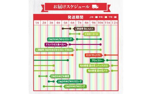 「香川県オリジナル品種さぬきのめざめ」と旬の野菜 定期便P