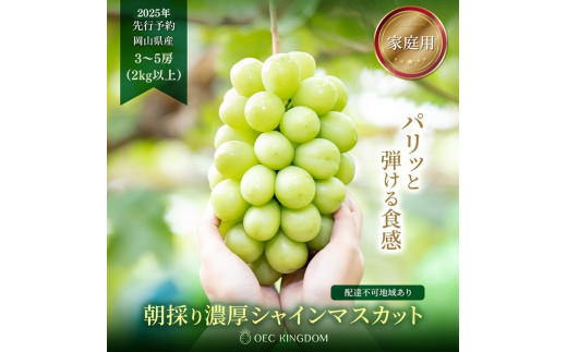 ぶどう 2025年 先行予約 ［ご家庭用］ シャイン マスカット3～5房（合計2kg以上） ブドウ 葡萄  岡山県産 国産 フルーツ 果物 OEC KINGDOM ぶどう家