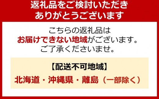 自動空気補充サイクル　20カリブーライト6Sエアハブオートライト【ポリッシュ】