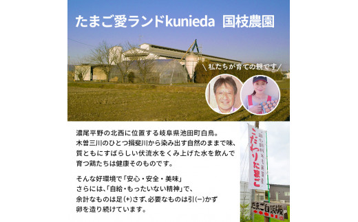 【ふるさと納税】卵 わずか4%の希少な純国産鶏 いけだの森たまご 40個 こだわり おこめのたまご 玉子 鶏卵 生卵 産地直送 冷蔵配送 TKG 卵かけご飯 岐阜県産