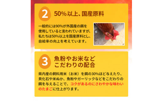 【ふるさと納税】卵 わずか4%の希少な純国産鶏 いけだの森たまご 40個 こだわり おこめのたまご 玉子 鶏卵 生卵 産地直送 冷蔵配送 TKG 卵かけご飯 岐阜県産