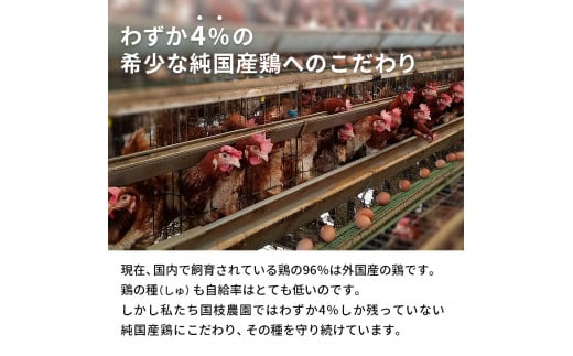 【ふるさと納税】卵 わずか4%の希少な純国産鶏 いけだの森たまご 40個 こだわり おこめのたまご 玉子 鶏卵 生卵 産地直送 冷蔵配送 TKG 卵かけご飯 岐阜県産