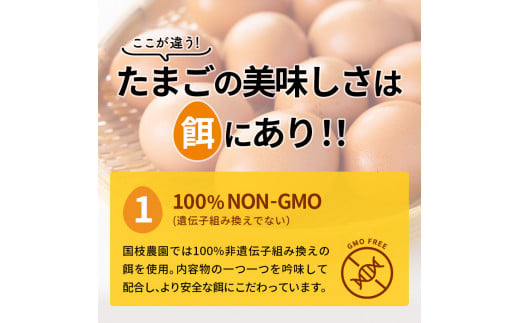 【ふるさと納税】卵 わずか4%の希少な純国産鶏 いけだの森たまご 40個 こだわり おこめのたまご 玉子 鶏卵 生卵 産地直送 冷蔵配送 TKG 卵かけご飯 岐阜県産