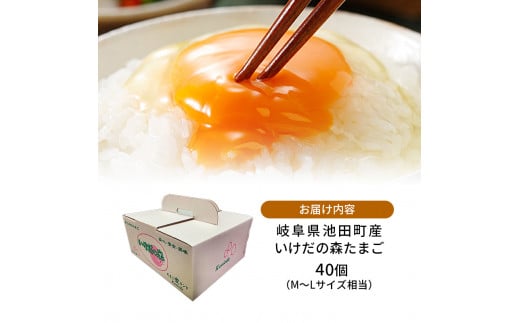 【ふるさと納税】卵 わずか4%の希少な純国産鶏 いけだの森たまご 40個 こだわり おこめのたまご 玉子 鶏卵 生卵 産地直送 冷蔵配送 TKG 卵かけご飯 岐阜県産