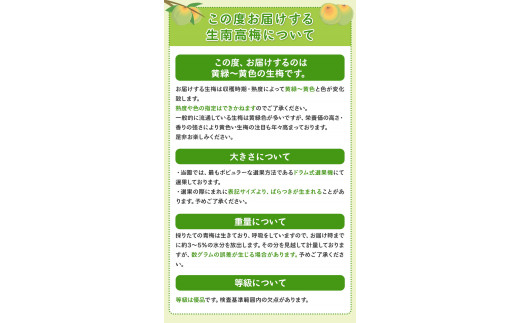 和歌山県産 熟成南高梅 10kg(4Lサイズ) うめ 梅干 梅酒 ふるさと農園《6月上旬-6月中旬頃出荷》 和歌山県 日高町