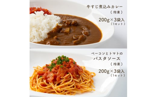 手作り 牛すじ煮込みカレー＆ベーコンとトマトのパスタソース 【冷凍】 ｜ 煮込み カレー 美祢市産 野菜 牛すじ パスタソース トマトソース 惣菜 セット 詰め合わせ 冷凍 特産品 山口 美祢市 美祢