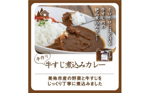 手作り 牛すじ煮込みカレー＆ベーコンとトマトのパスタソース 【冷凍】 ｜ 煮込み カレー 美祢市産 野菜 牛すじ パスタソース トマトソース 惣菜 セット 詰め合わせ 冷凍 特産品 山口 美祢市 美祢