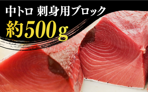 五島列島産 養殖 生本かみまぐろ 中トロ 500g / まぐろ 鮪 刺身 ブロック