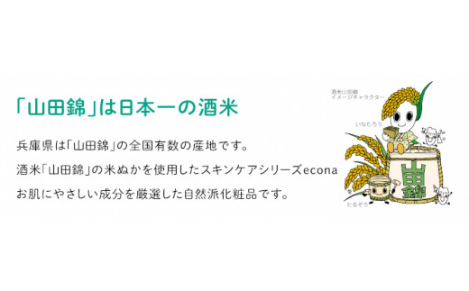 A-336 洗顔クリーム econaモイストウォッシュと泡立てネット