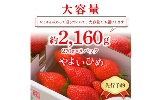 《先行予約》4月より順次発送※ いちご「 やよいひめ 」約270g×8パック 群馬県 千代田町 ＜斉藤いちご園＞