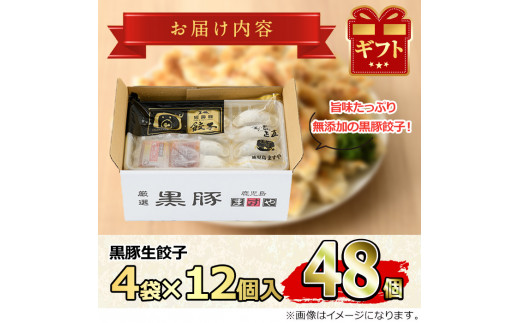 【0125122a】鹿児島黒豚生餃子セット(12個入×4パック・計48個)黒豚 豚肉 ぶた肉 餃子 ギョウザ ぎょうざ 惣菜【鹿児島ますや】