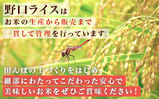 220-1茨城町産ふくまる10kg（5kg×2袋）【無洗米】 令和6年産