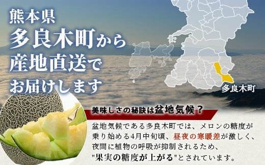 【2025年4月下旬〜順次発送 先行予約】肥後グリーンメロン 2玉〜4玉（約4kg以上）多良木町 熊本県 肥後グリーン メロン フルーツ 果物 期間限定 数量限定 108-0502