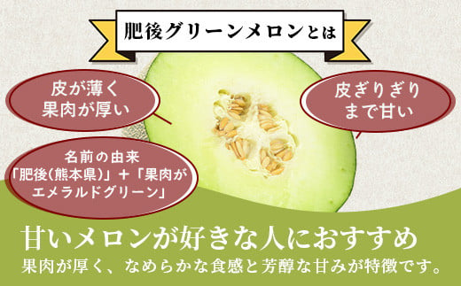 【2025年4月下旬〜順次発送 先行予約】肥後グリーンメロン 2玉〜4玉（約4kg以上）多良木町 熊本県 肥後グリーン メロン フルーツ 果物 期間限定 数量限定 108-0502