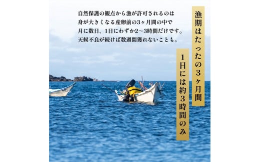 [2025年6月出荷開始先行受付]北海道利尻島産 塩水生うに（ムラサキウニ）85g×3パック  ウニ 塩水ウニ 北海道 利尻 ムラサキウニ