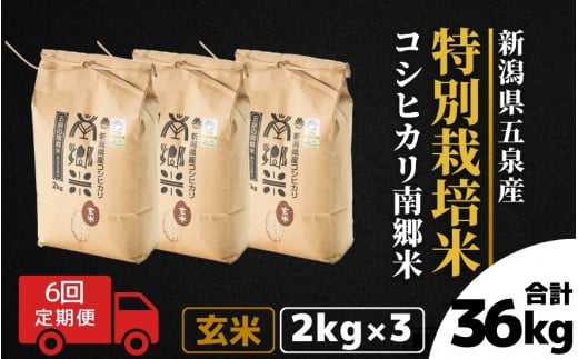 【令和6年産新米】 〈6回定期便〉 特別栽培米コシヒカリ 「南郷米」 玄米6kg（2kg×3袋）新潟県 五泉市 有限会社ファームみなみの郷