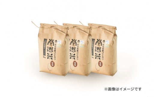 【令和6年産新米】 〈6回定期便〉 特別栽培米コシヒカリ 「南郷米」 玄米6kg（2kg×3袋）新潟県 五泉市 有限会社ファームみなみの郷