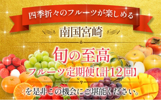 南国宮崎 旬の《至高》フルーツ定期便 12か月コース【G25-24】