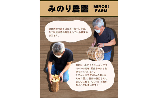 【数量限定】冷凍 石焼きいも 約1.2kg 300g×4袋 焼き芋 焼きいも 冷凍いも いも 芋 冷凍やきいも 紅はるか 焼き芋 やきいも 焼芋 みのり農園 《12月上旬-4月末頃出荷》