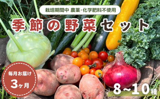 【毎月定期便3回】旬 季節の野菜セット (8~10種)