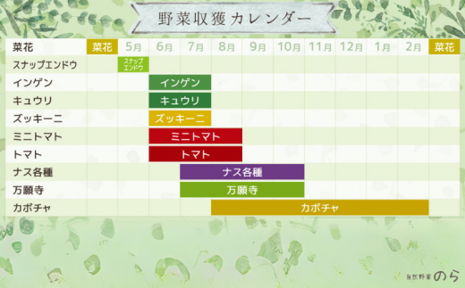 【毎月定期便3回】旬 季節の野菜セット (8~10種)