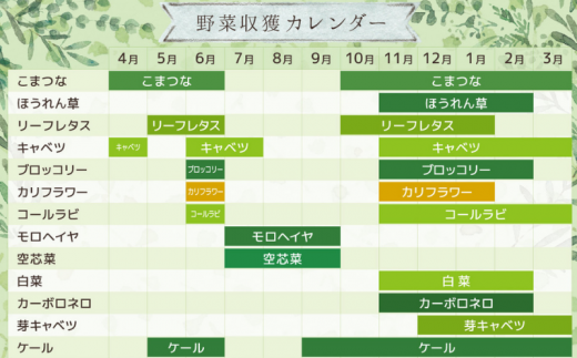 【毎月定期便3回】旬 季節の野菜セット (8~10種)