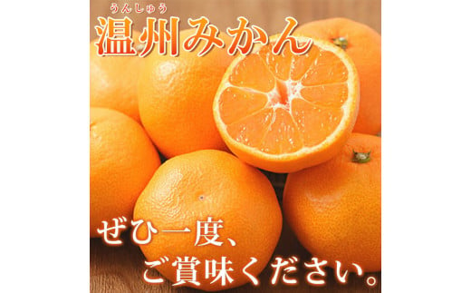 【先行予約】紀州有田産 濃厚完熟 温州みかん 5kg 【家庭用 訳あり】 ※2024年11月下旬頃～2025年1月下旬頃に順次発送予定 / みかん ミカン 蜜柑 温州みかん 柑橘 フルーツ 果物 くだもの 和歌山【uot003】