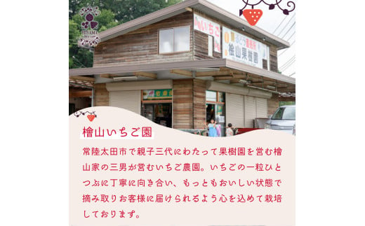 こだわりの土耕栽培で育てた味と香りが濃い苺「いばらキッス」を朝採れの新鮮なままお届け