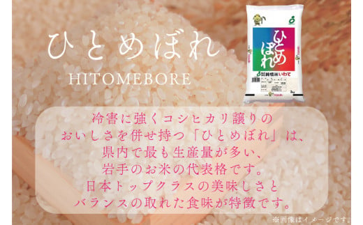 ★令和6年産★【9ヶ月定期便】特A受賞 銀河のしずく・ひとめぼれ食べ比べセット10kg（各種5kg）(無洗米) （AE169）