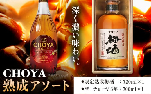 熟成アソート THE CHOYA 熟成三年 700ml 限定熟成梅酒 720ml 羽曳野商工振興株式会社《60日以内に出荷予定(土日祝除く)》大阪府 羽曳野市 送料無料 梅酒 梅 酒 CHOYA チョーヤ チョーヤ梅酒 お酒 熟成 3年 限定