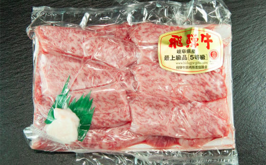 飛騨牛 A5 本日の希少部位 焼肉用  162g（約2人前）【冷凍 真空】牛肉 希少 ミスジ イチボ トモサンカク  焼肉  牛 天狗