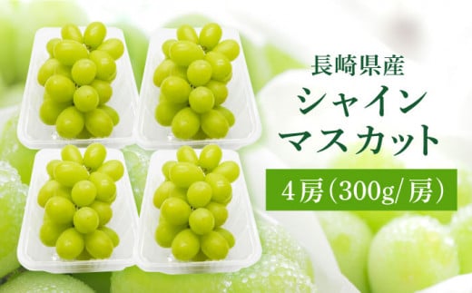 【申込は9月1日まで】糖度18度以上！長崎県産シャインマスカット 1.2kg 種無し 長崎県/長崎果匠[42AABK010]甘い ぶどう マスカット 季節限定 先行予約 しゃいんますかっと 果実 しゃいんますかっと 産地直送 フルーツ ますかっと 冷蔵 旬 贈答 ギフト 贈り物 プレゼント