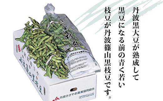 丹波篠山黒枝豆　1kg×2束(枝付き)