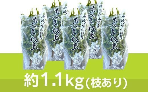 【2025年10月中旬発送】令和7年産 丹波黒枝豆1.1kg×5(枝あり)