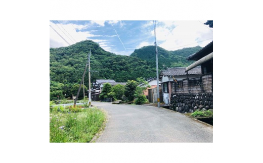 ＜サービス提供地域:福岡県吉富町＞空き家管理サービス＜6ヶ月＞【1206455】