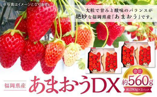 あまおうDX 約280g×2パック