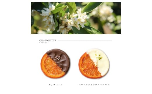 1841 オランジェット詰め合わせ　オランジェット オランジェ五十鈴川 結婚式お菓子 伊勢お菓子 オリジナルお菓子 手作り 地産地消 伊勢 おかげさま 三重県お菓子 詰め合わせ ギフト オレンジ