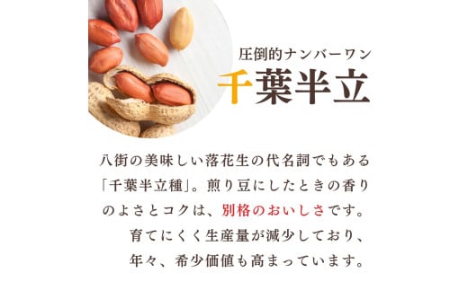 千葉半立 素煎り おひとりさま堪能セット 120g × 3袋 ご自宅用 千葉半立種 国産落花生 八街産落花生 八街産ピーナツ 八街産ピーナッツ　