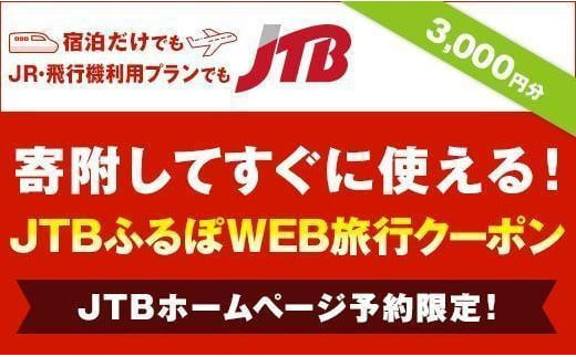 【中種子町旅行に使える】JTBふるぽWEB旅行クーポン（3,000円分）【旅行 旅 飛行機 宿泊 トラベル 予約 人気 おすすめ 鹿児島県 中種子町 ふるさと納税 送料無料 JTBW003】