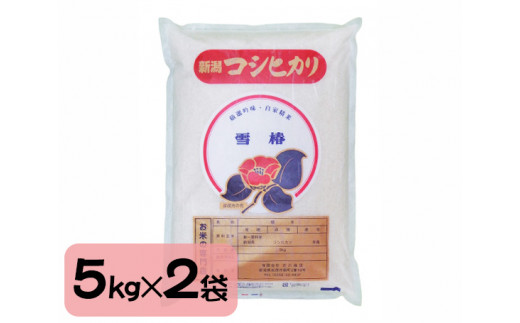 【定期便6ヶ月毎月お届け】特選コシヒカリ「雪椿」精米10kg 白米 お米 米 加茂市 お米の専門店 古川商店 新潟県産 定期便