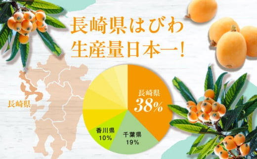 【先行予約】 長崎 ハウスびわ 500g ＜3月下旬～4月下旬お届け＞長崎県/長崎県農協直販 [42ZZAA027] ビワ 枇杷 果物 フルーツ びわ 長崎 特産 数量限定