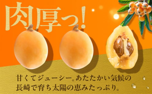 【先行予約】 長崎 ハウスびわ 500g ＜3月下旬～4月下旬お届け＞長崎県/長崎県農協直販 [42ZZAA027] ビワ 枇杷 果物 フルーツ びわ 長崎 特産 数量限定