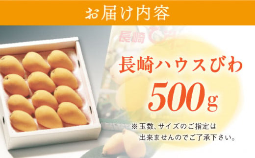 【先行予約】 長崎 ハウスびわ 500g ＜3月下旬～4月下旬お届け＞長崎県/長崎県農協直販 [42ZZAA027] ビワ 枇杷 果物 フルーツ びわ 長崎 特産 数量限定